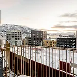 Vervet L L Amazing View