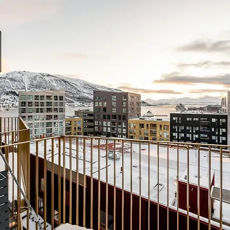 Vervet L L Amazing View